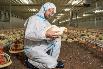 Poultry Worker Jobs in the UK with Visa Sponsorship