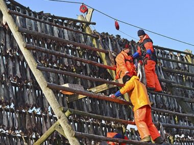 Unskilled Construction Jobs in UK with Visa Sponsorship