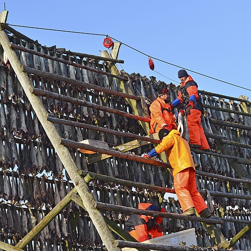 Unskilled Construction Jobs in UK with Visa Sponsorship