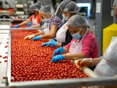 unskilled jobs in the UK with visa sponsorship