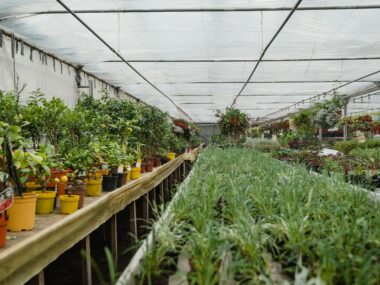 Farm Worker Visa Sponsorship Denmark