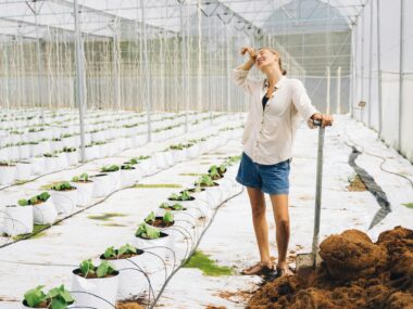 Unskilled Jobs in Norway with Visa Sponsorship