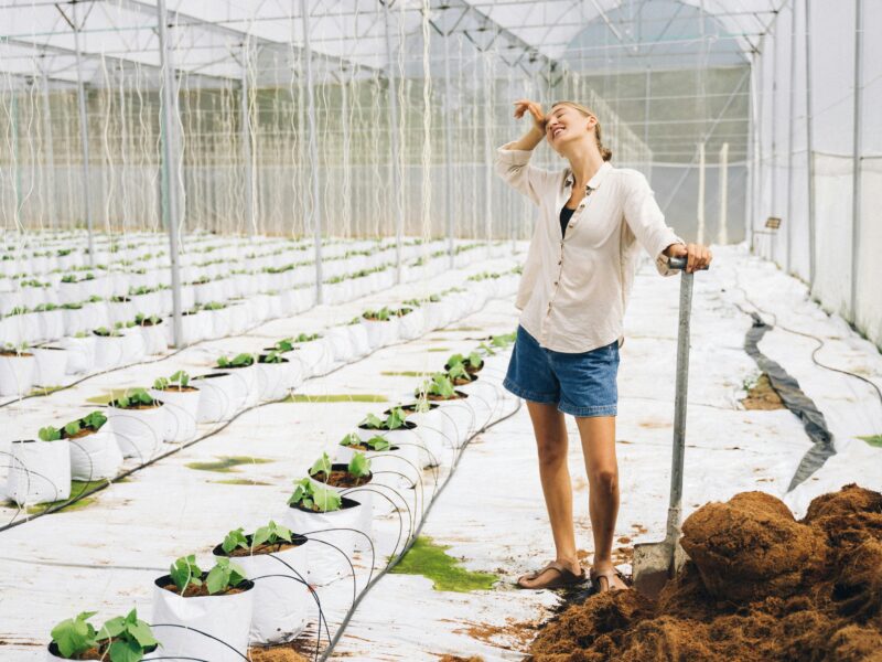 Unskilled Jobs in Norway with Visa Sponsorship