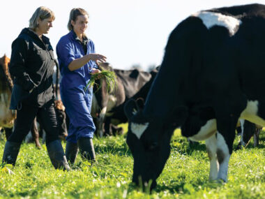 Dairy Farm Jobs in Canada with Visa Sponsorship